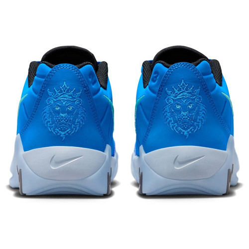 Nike LeBron Witness 9 (GS)